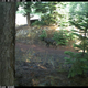 Illustration for article titled Lefties Go Roadie, Wolves In California Inevitable: What’s New Outside